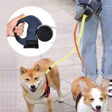 Walk Your Dogs Together, Effortlessly and Safely!
